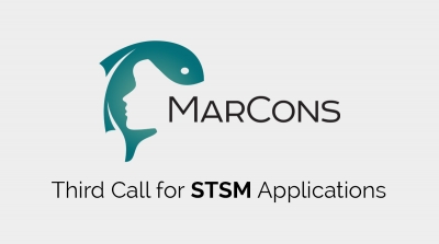 Third Call for STSM Applications